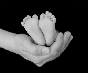 canstockphoto1673885